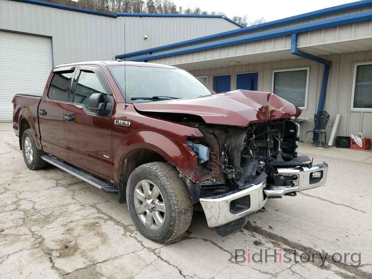 Photo 1FTEW1EP7FKE54307 - FORD F-150 2015