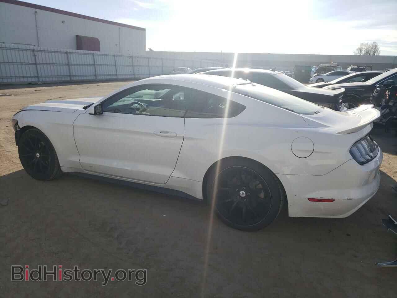 2017 FORD ALL Models - VIN: 1FA6P8TH5H5231146 - Photo 2