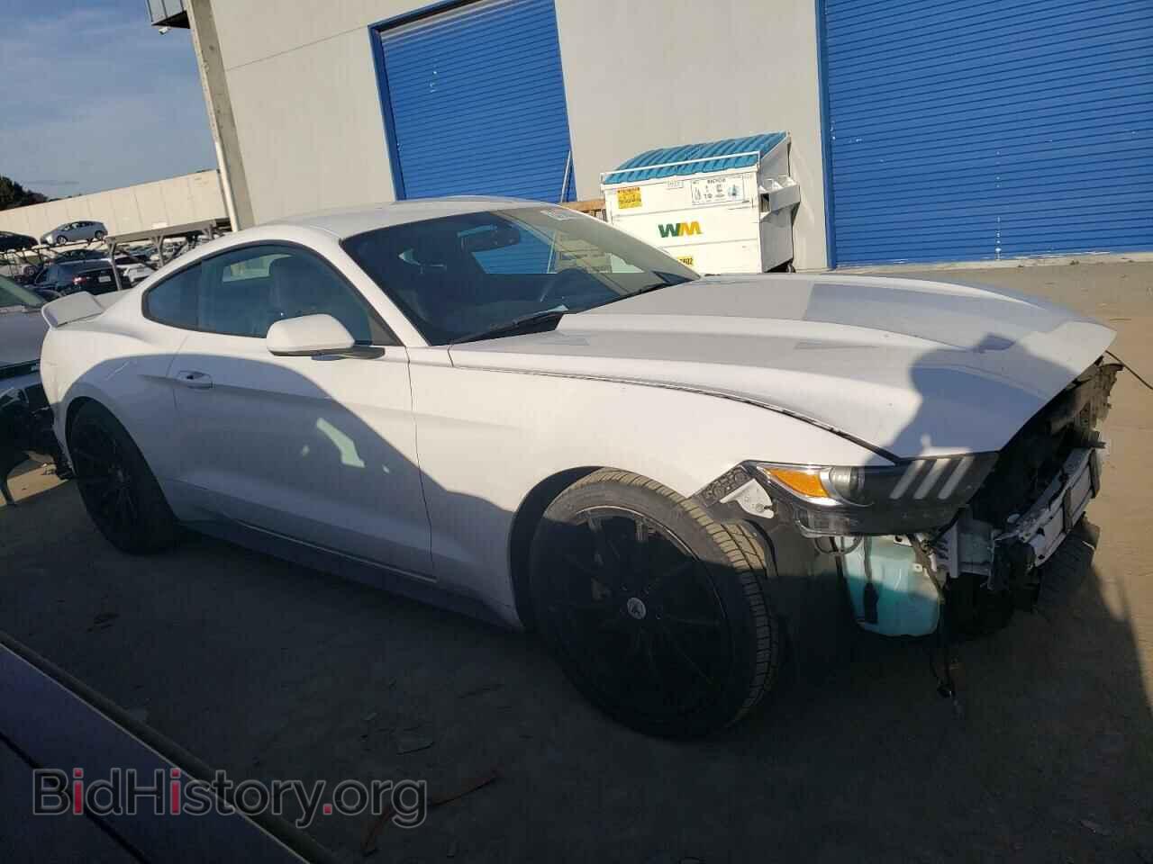 2017 FORD ALL Models - VIN: 1FA6P8TH5H5231146 - Photo 4