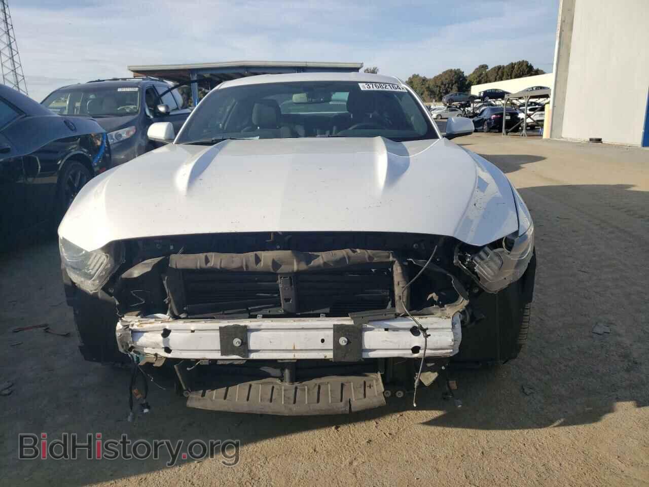 2017 FORD ALL Models - VIN: 1FA6P8TH5H5231146 - Photo 5