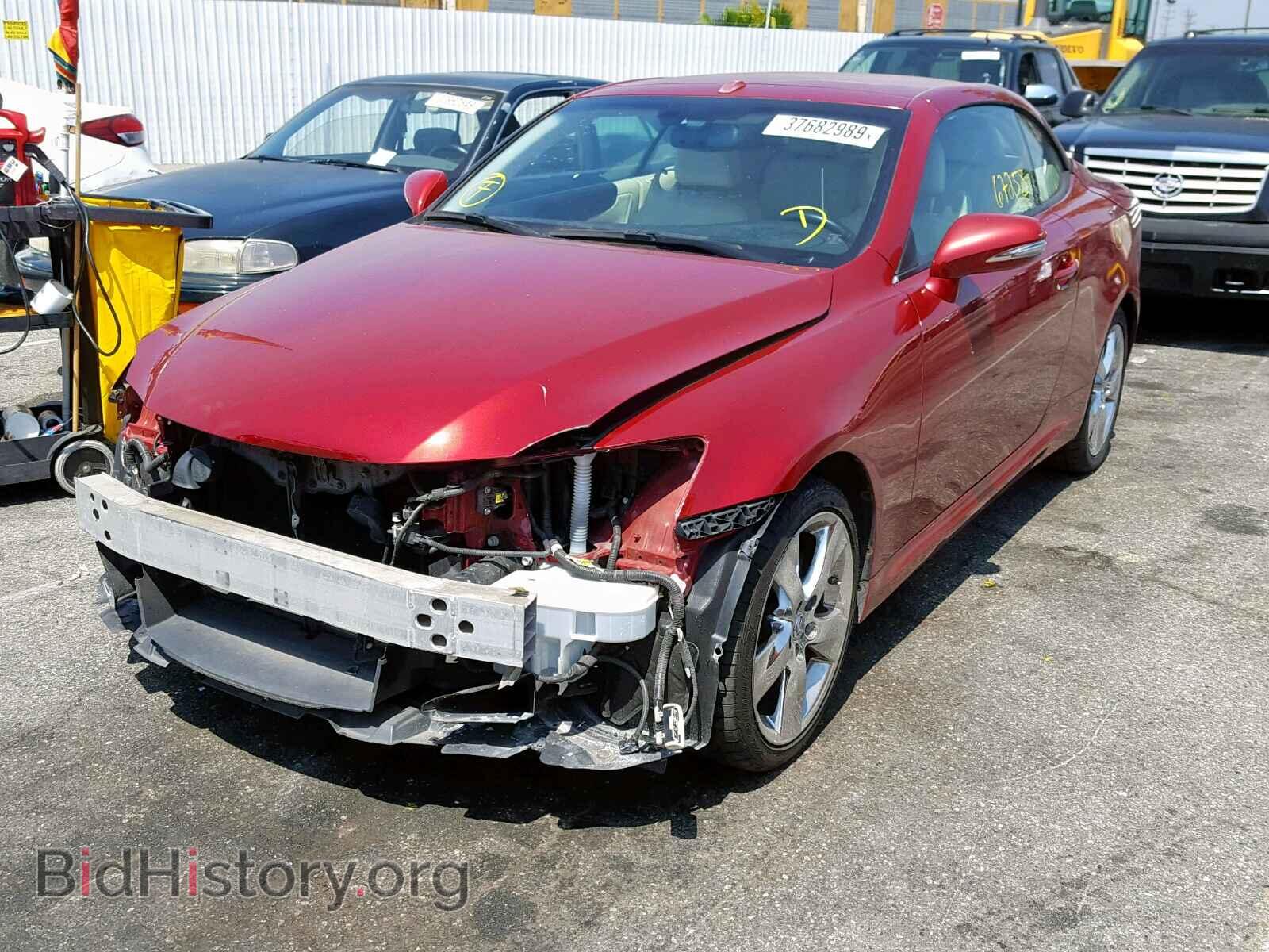 2010 LEXUS IS 250 - VIN: JTHFF2C2XA2504593 - Фото 2