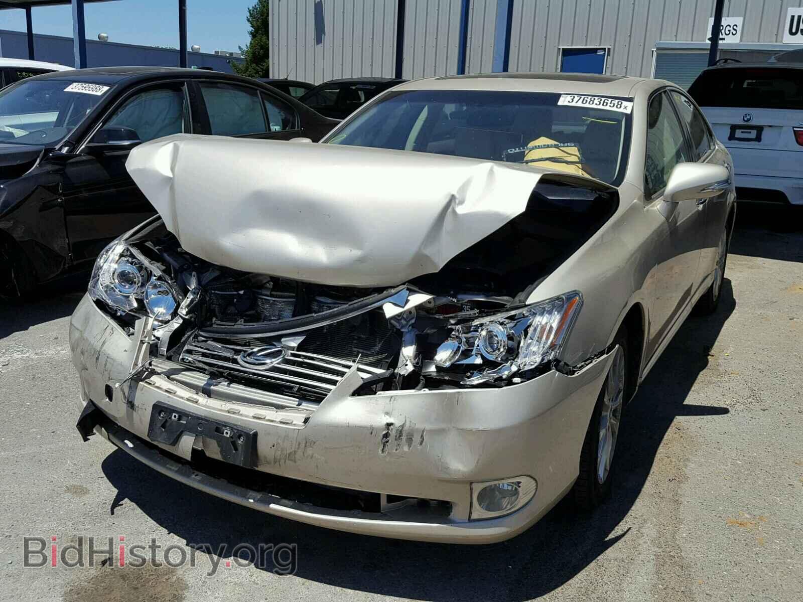 2012 LEXUS ES350 - VIN: JTHBK1EG5C2476797 - Фото 2
