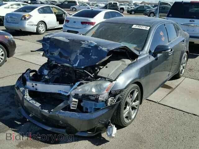 2009 LEXUS IS250 - VIN: JTHBK262095105837 - Фото 2