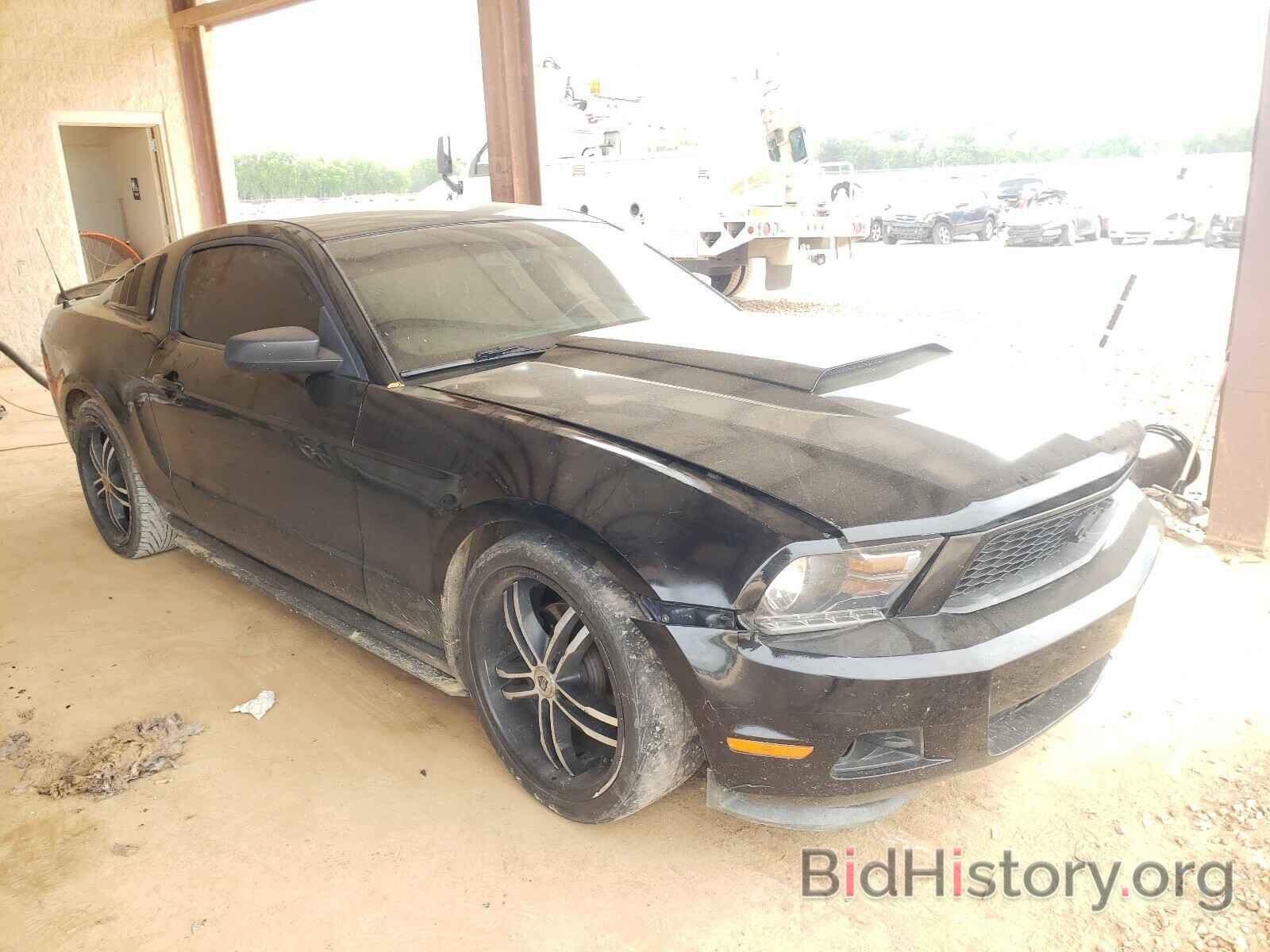 Photo 1ZVBP8AM0B5153663 - FORD MUSTANG 2011