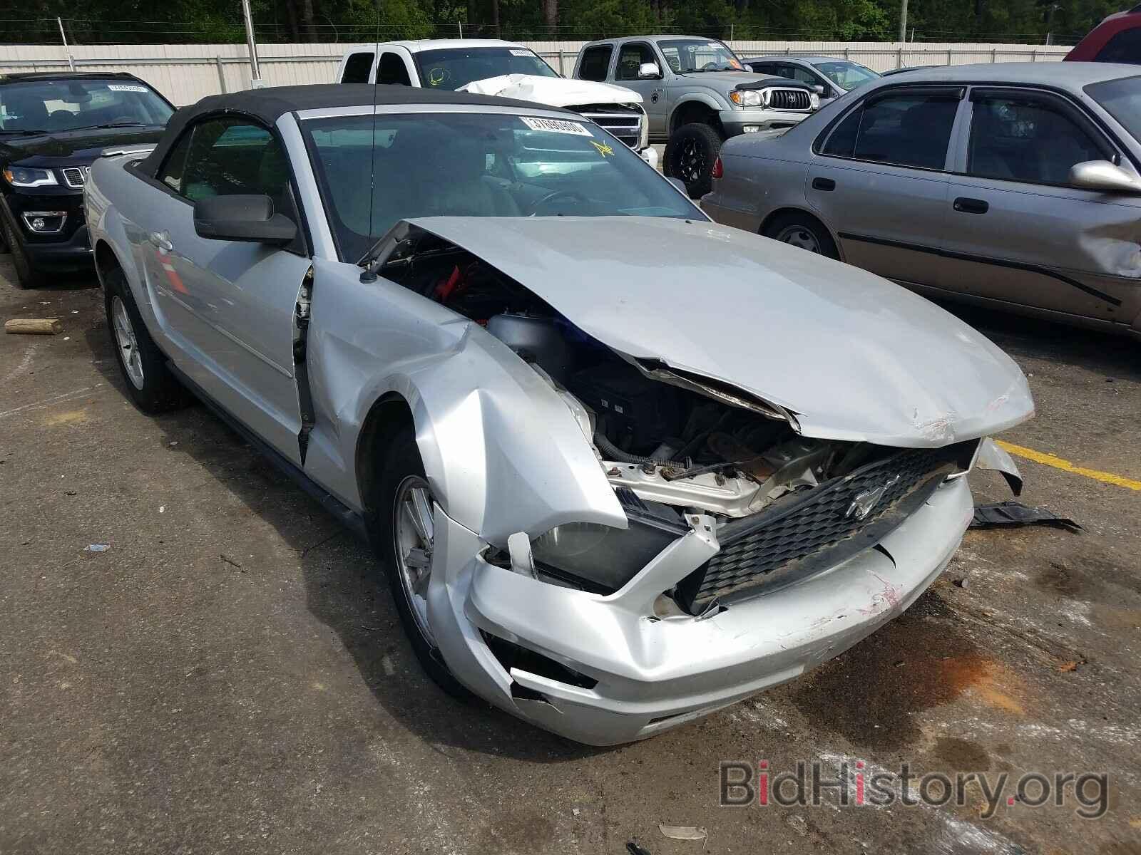 Photo 1ZVHT84N085208969 - FORD MUSTANG 2008