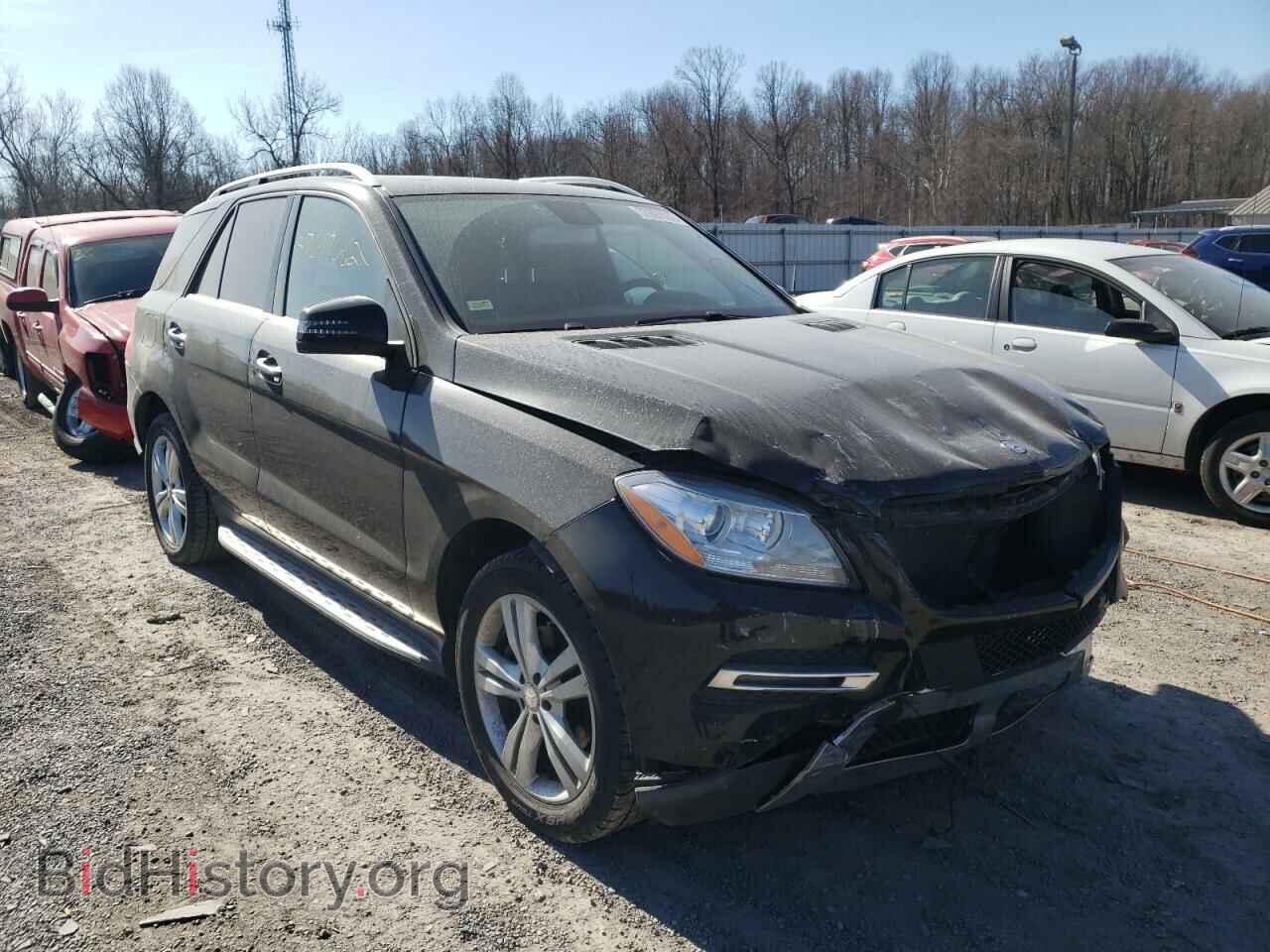 Photo 4JGDA5HB7DA170448 - MERCEDES-BENZ M-CLASS 2013