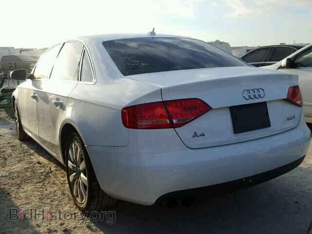 2010 AUDI A4 - VIN: WAUEFAFL5AN034075 - Фото 3