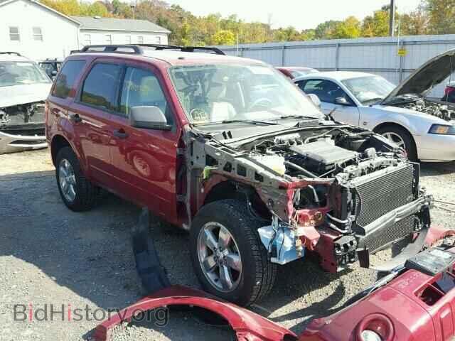 Фотография 1FMCU0DG9BKC08146 - FORD ESCAPE 2011