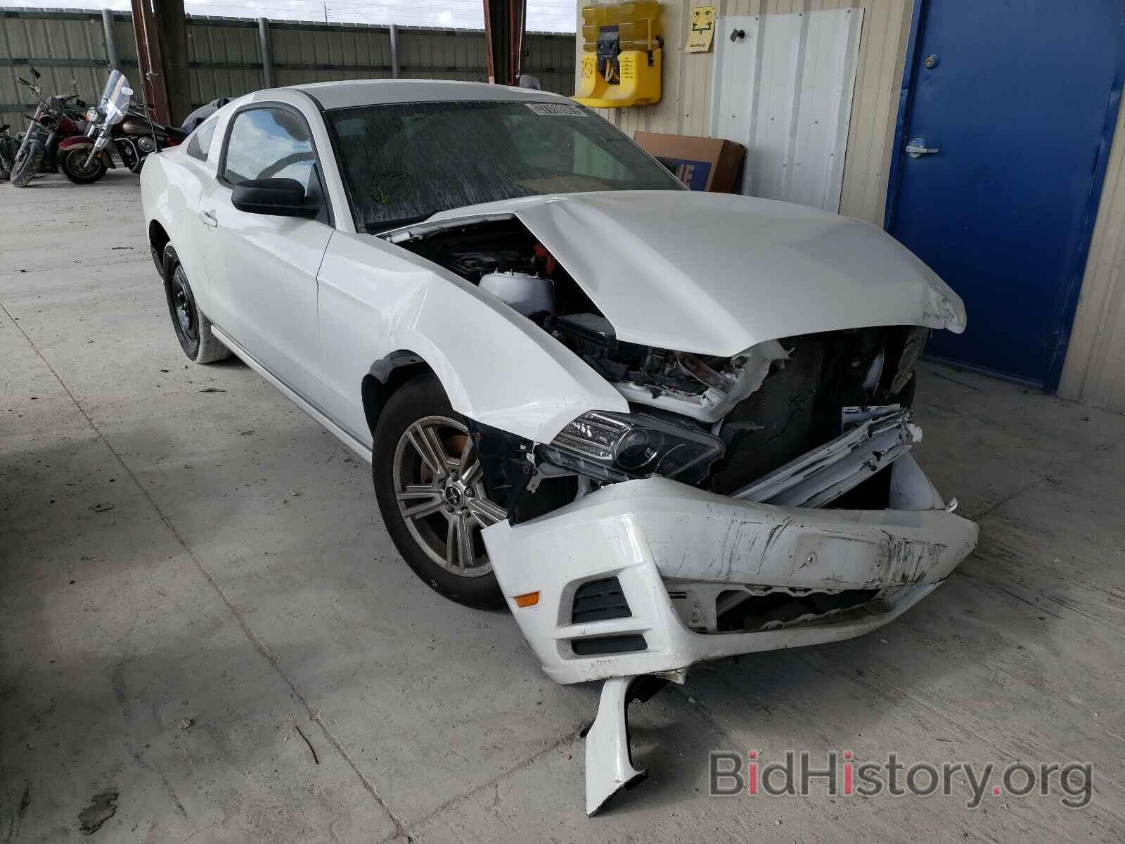 Photo 1ZVBP8AM2E5279754 - FORD MUSTANG 2014