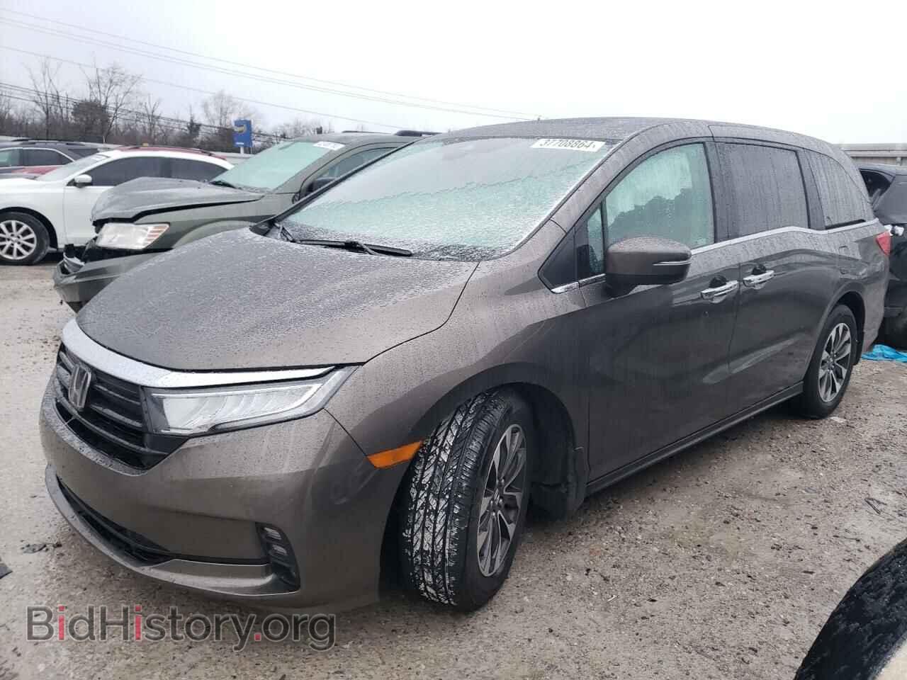 Photo 5FNRL6H74NB061184 - HONDA All Models 2022