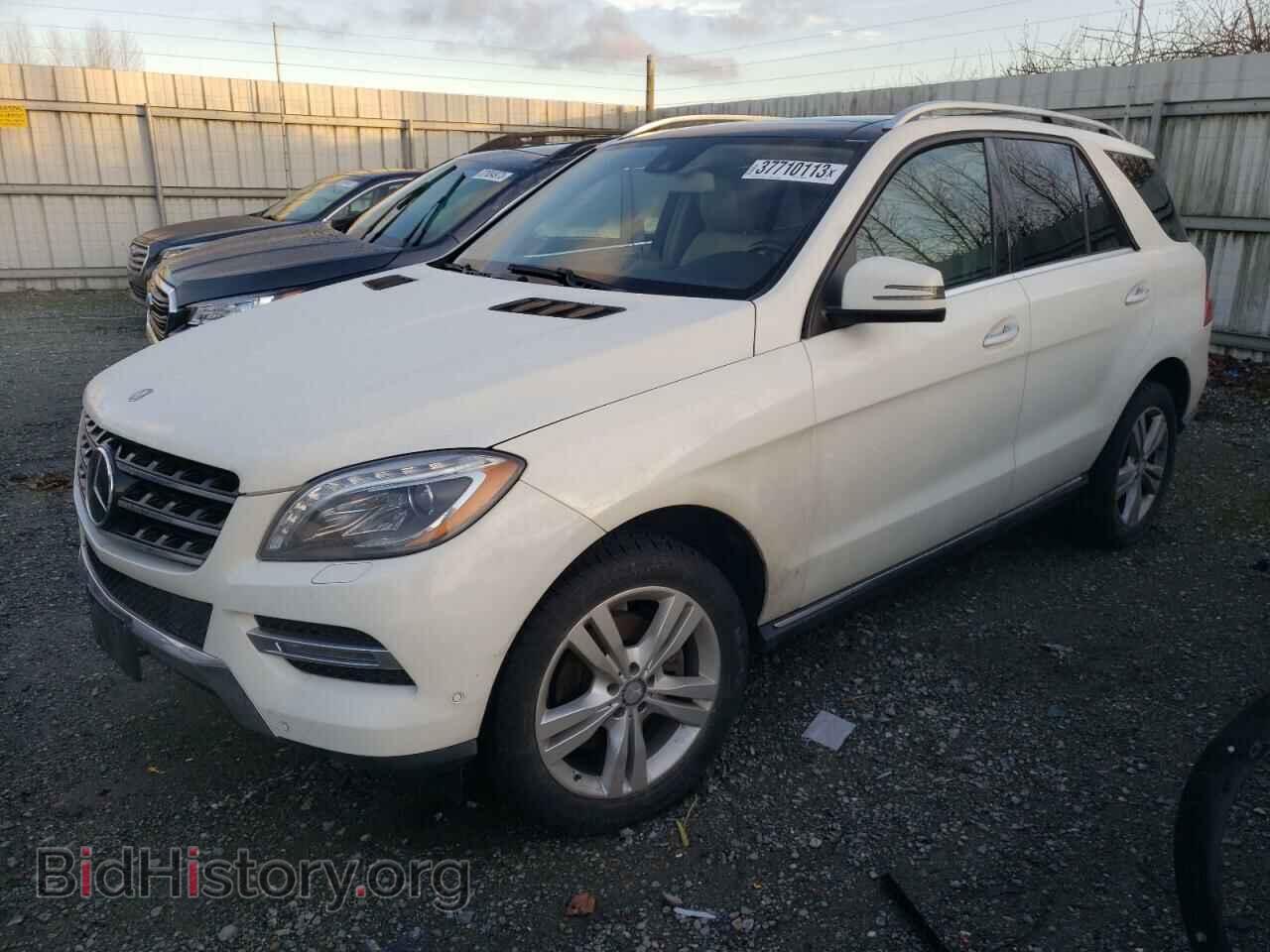 Photo 4JGDA2EB8DA204559 - MERCEDES-BENZ M-CLASS 2013