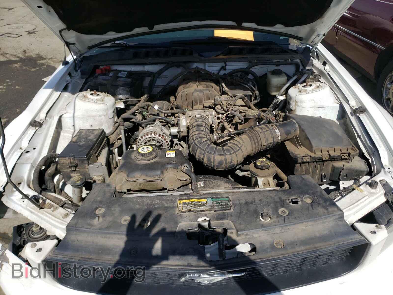 2007 FORD MUSTANG - VIN: 1ZVFT80N075270903 - Фото 7