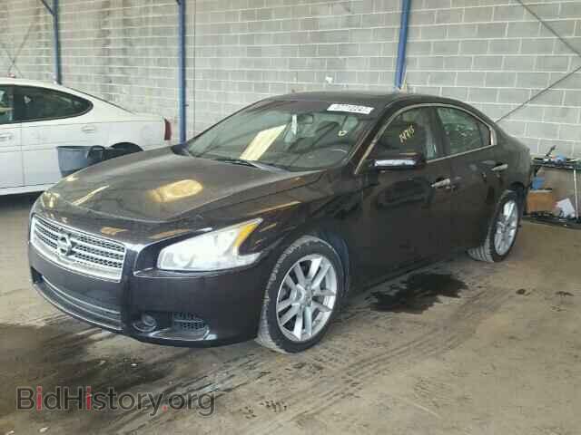 2010 NISSAN MAXIMA - VIN: 1N4AA5AP9AC831528 - Фото 2
