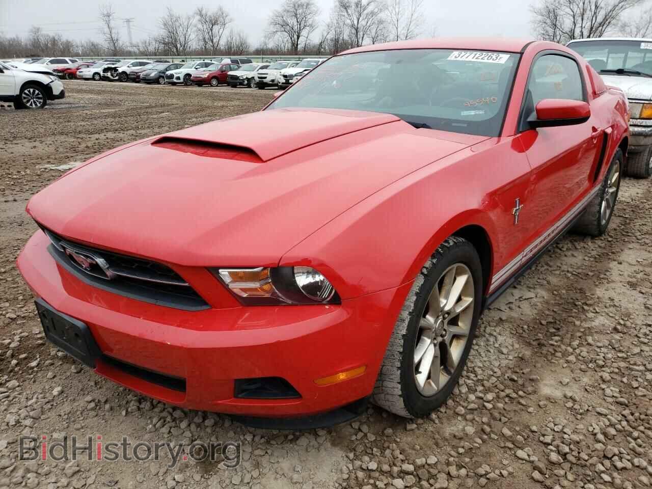 Photo 1ZVBP8AN0A5145540 - FORD MUSTANG 2010