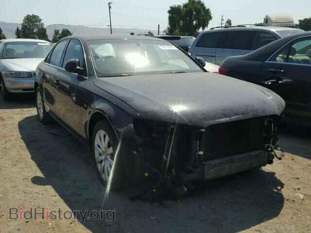 Фотография WAUSF78K39N051060 - AUDI A4 2009
