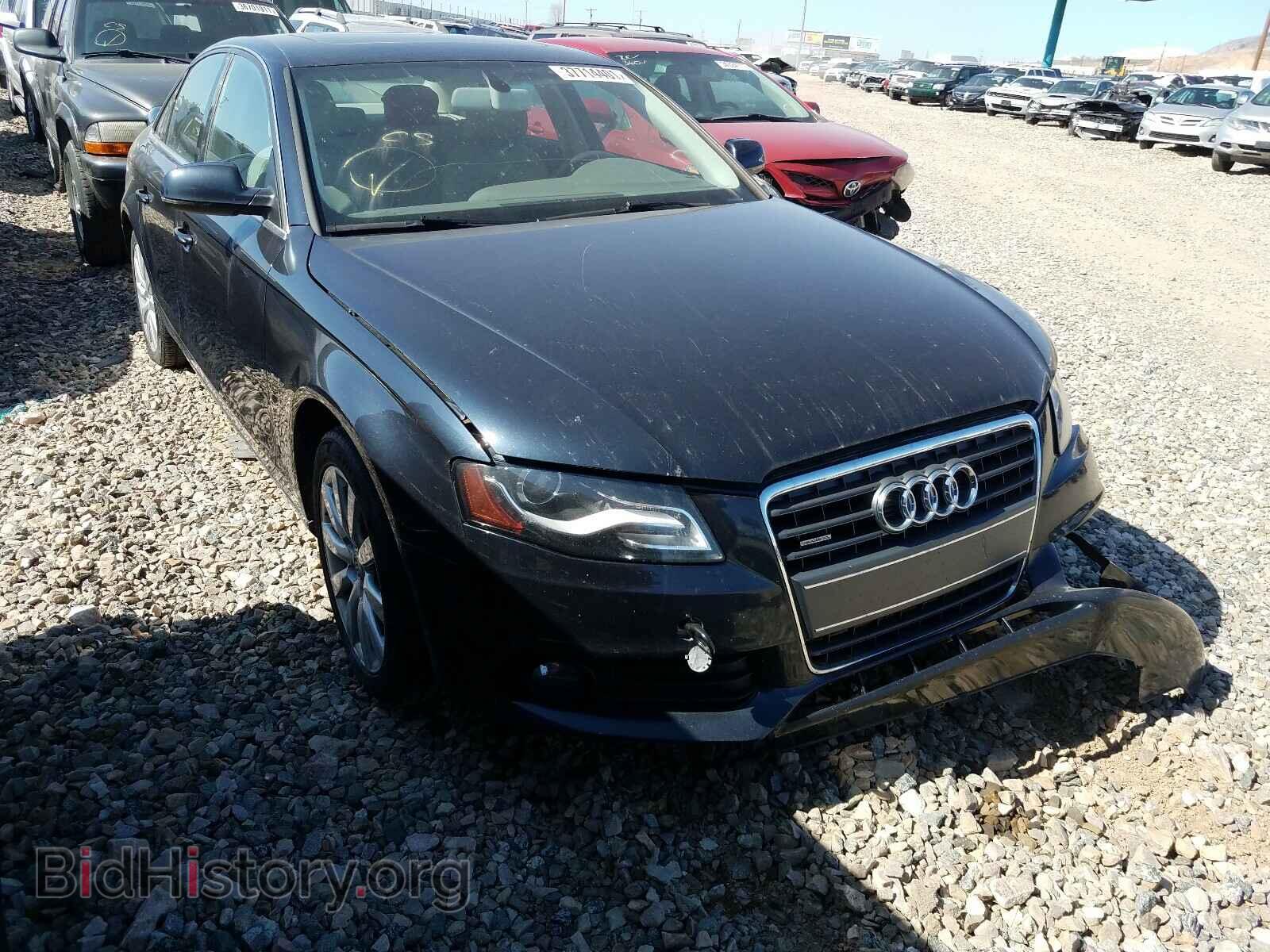 Фотография WAUBFAFL3CN014672 - AUDI A4 2012