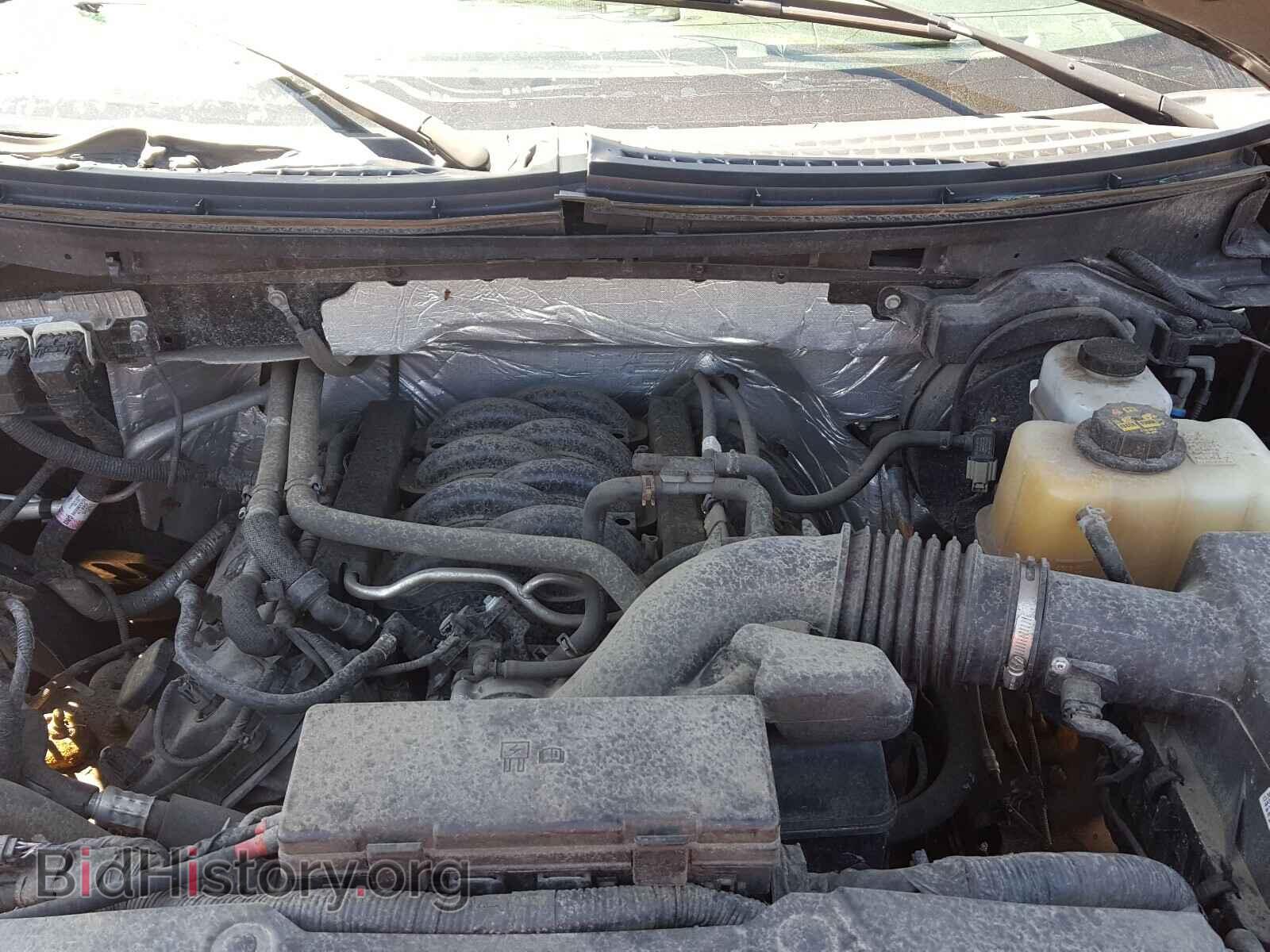 2013 FORD F150 - VIN: 1FTFW1EF2DKD00399 - Фото 7