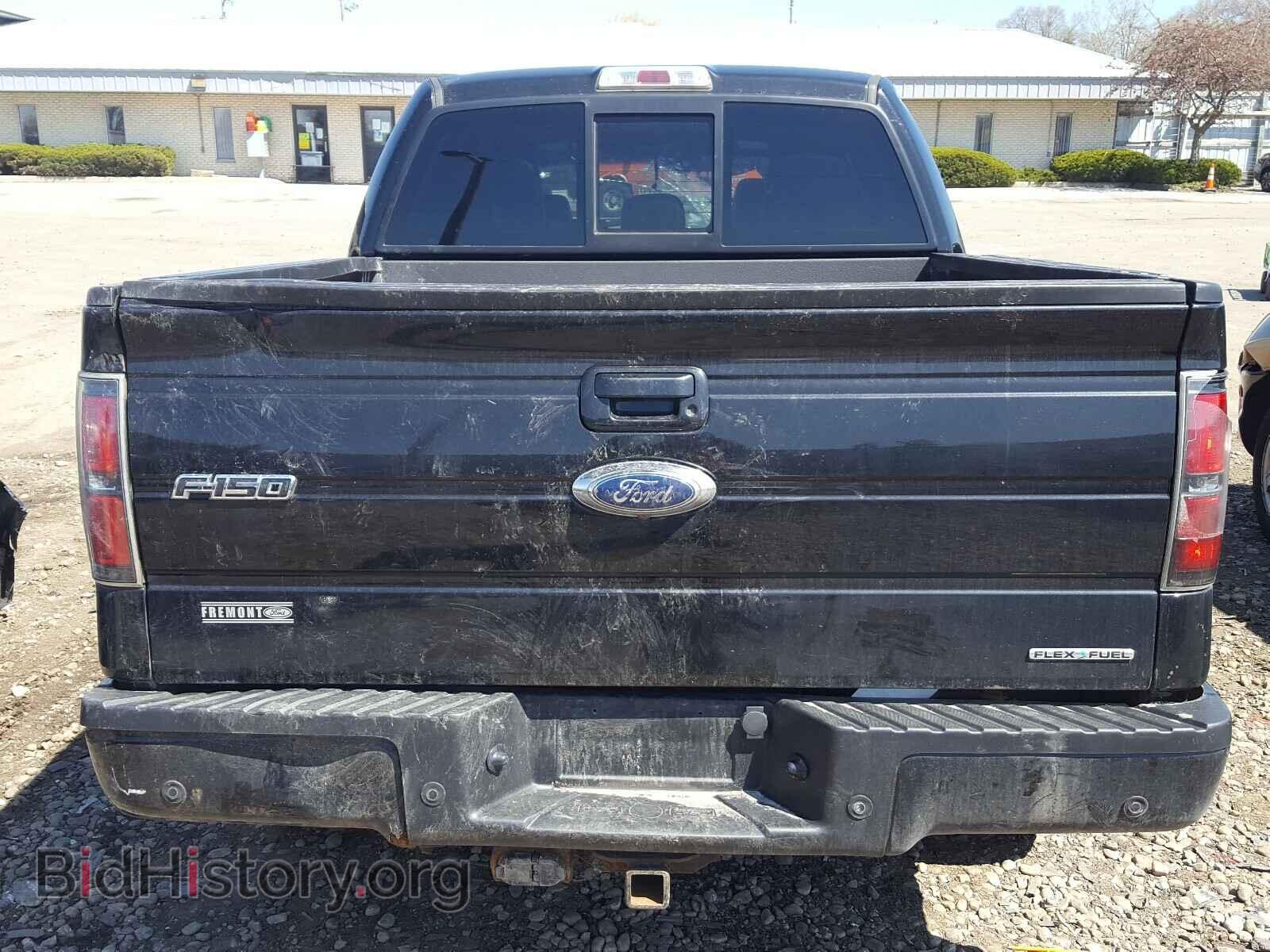 2013 FORD F150 - VIN: 1FTFW1EF2DKD00399 - Фото 9