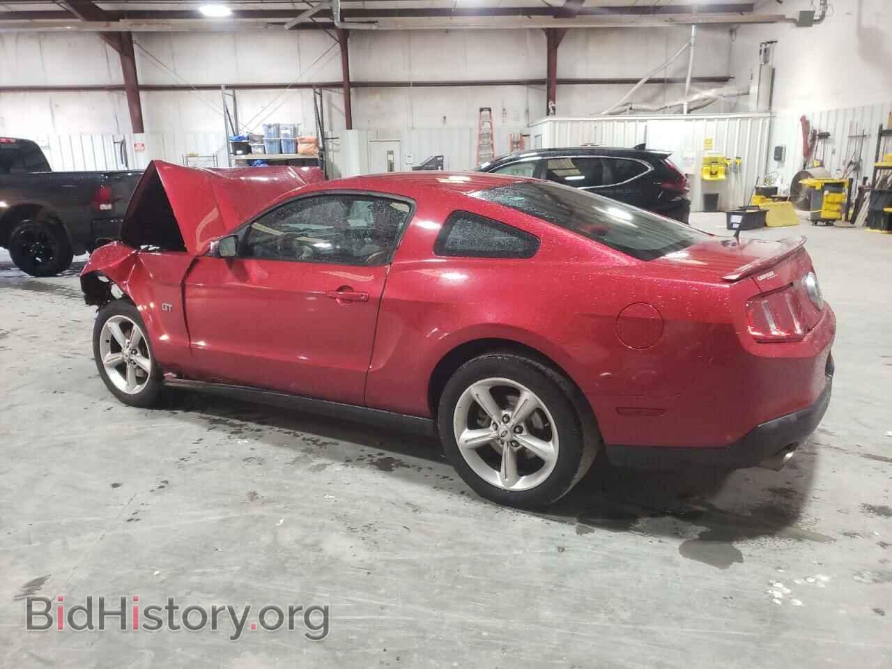 2010 FORD MUSTANG - VIN: 1ZVBP8CH4A5131700 - Фото 2