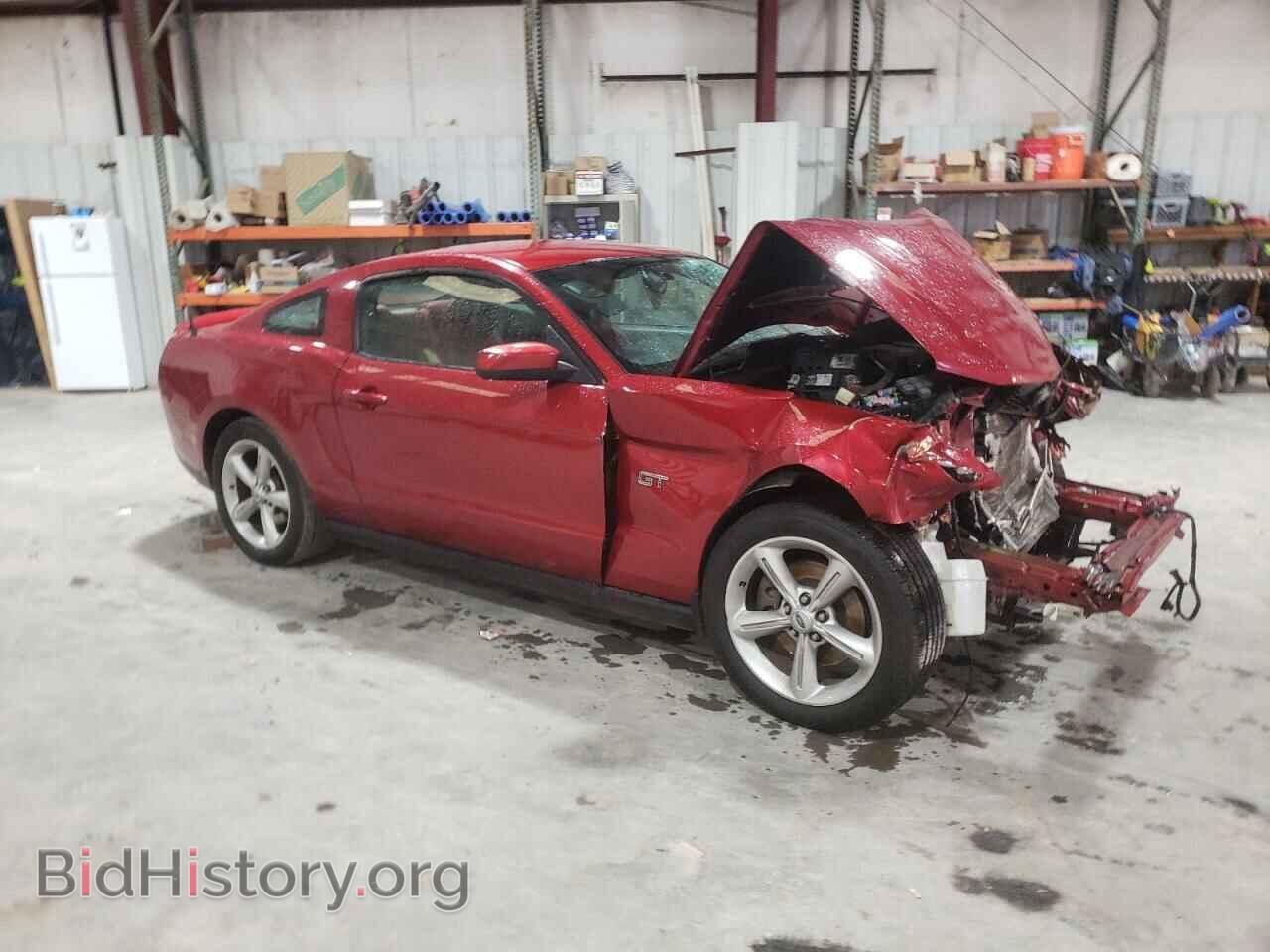 2010 FORD MUSTANG - VIN: 1ZVBP8CH4A5131700 - Фото 4
