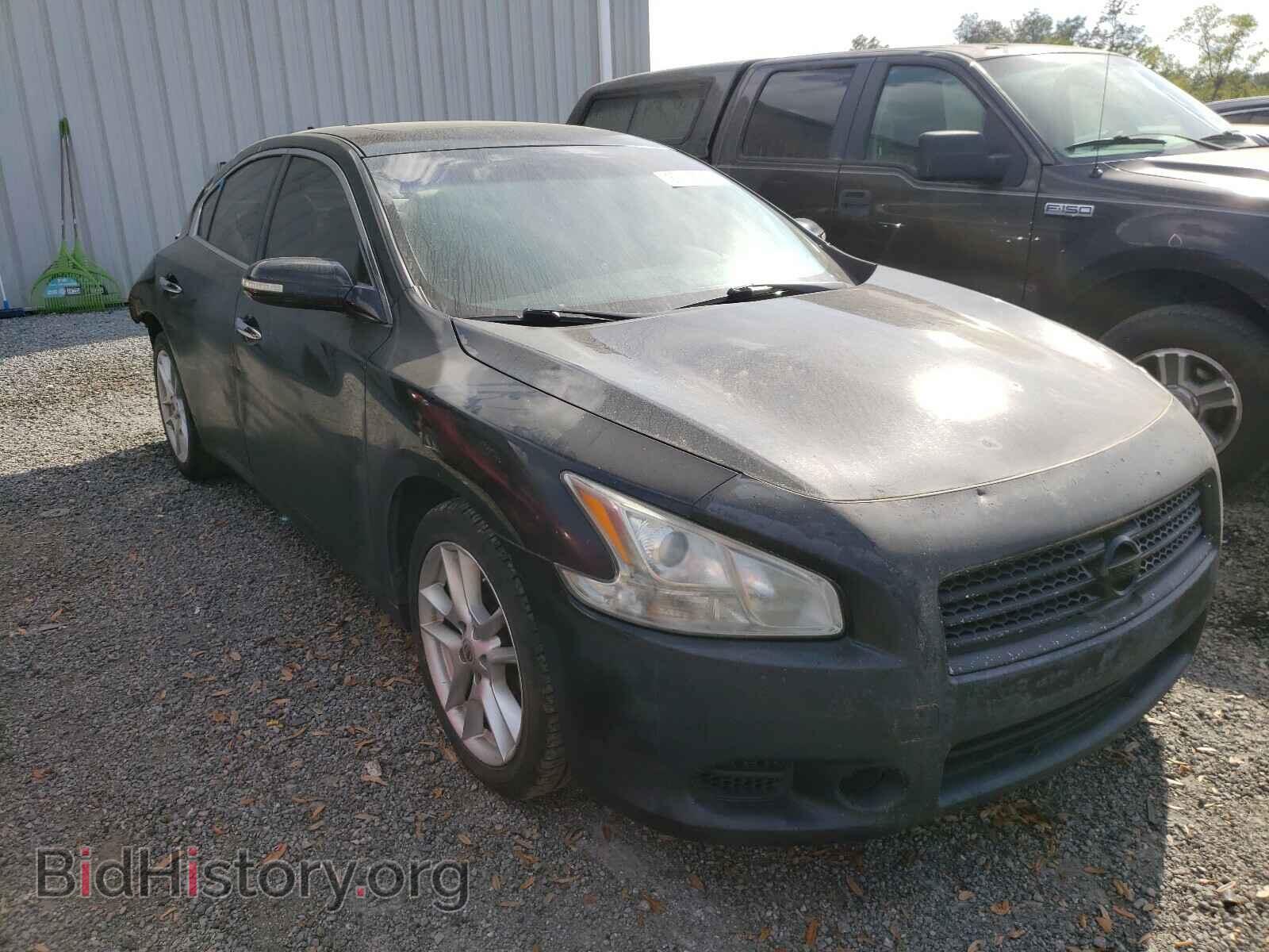 Фотография 1N4AA5AP1BC863181 - NISSAN MAXIMA 2011
