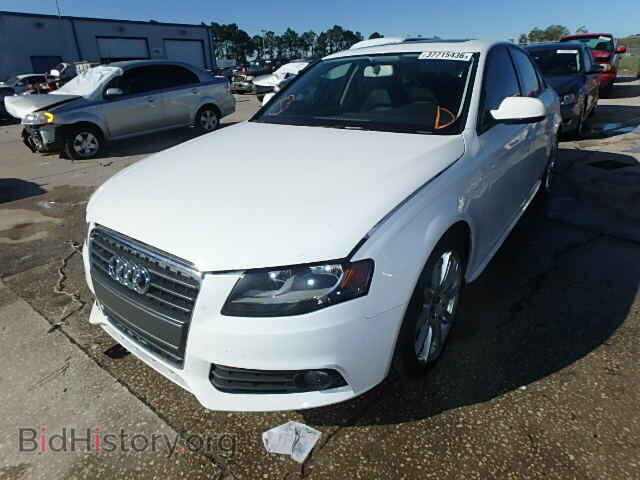2010 AUDI A4 - VIN: WAUBFAFL6AA051977 - Фото 2