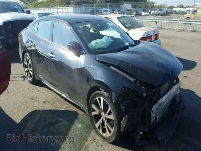 Фотография 1N4AA6AP6GC416164 - NISSAN MAXIMA 2016
