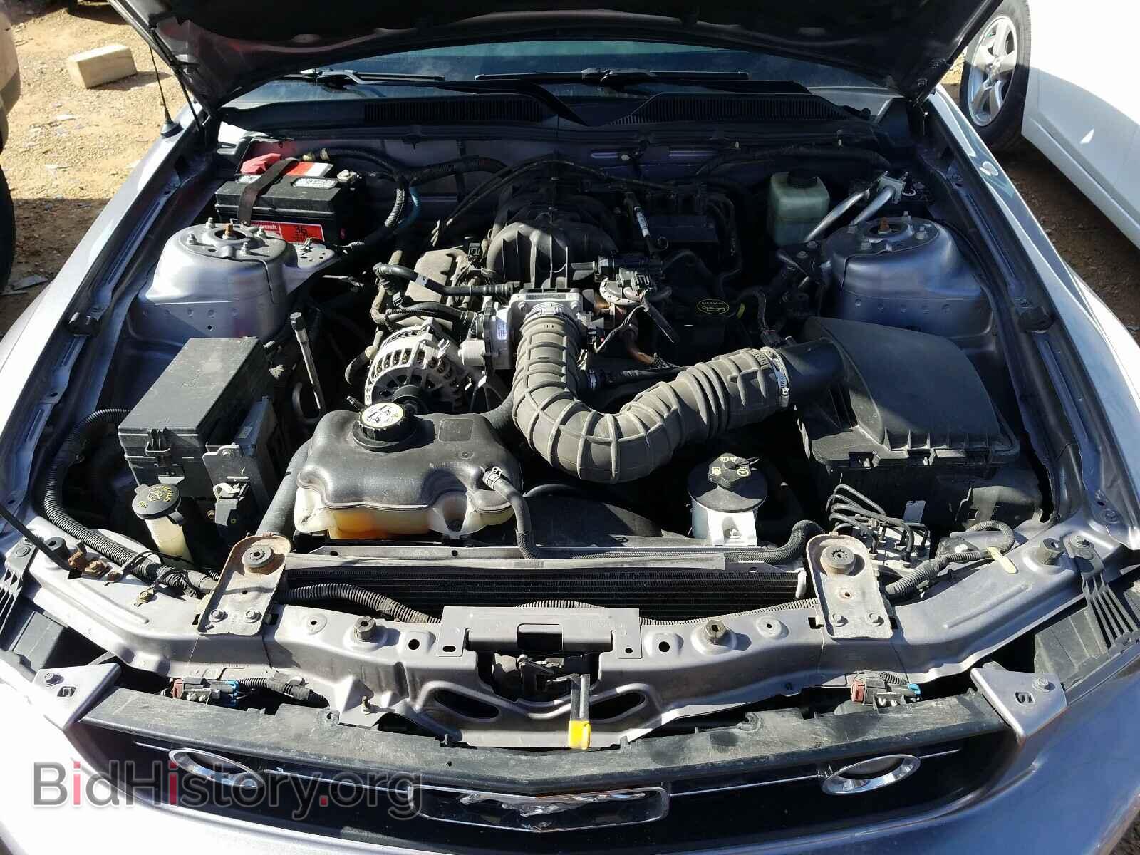 2006 FORD MUSTANG - VIN: 1ZVFT80N565148763 - Фото 7