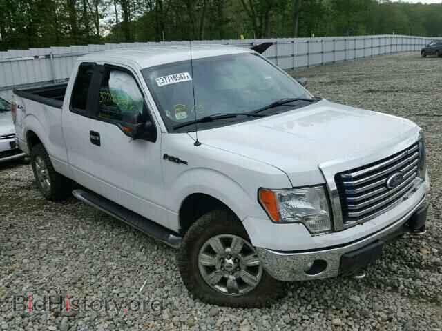 Фотография 1FTFX1EF8BFC42589 - FORD F150 2011