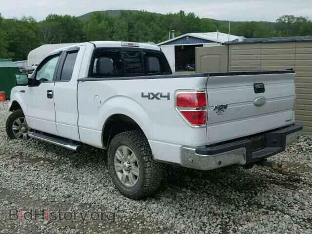2011 FORD F150 - VIN: 1FTFX1EF8BFC42589 - Фото 3