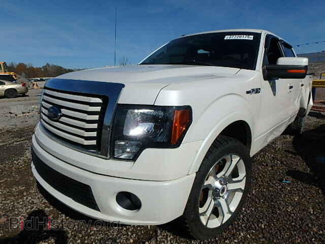 2011 FORD F150 - VIN: 1FTFW1E65BFA51036 - Фото 2