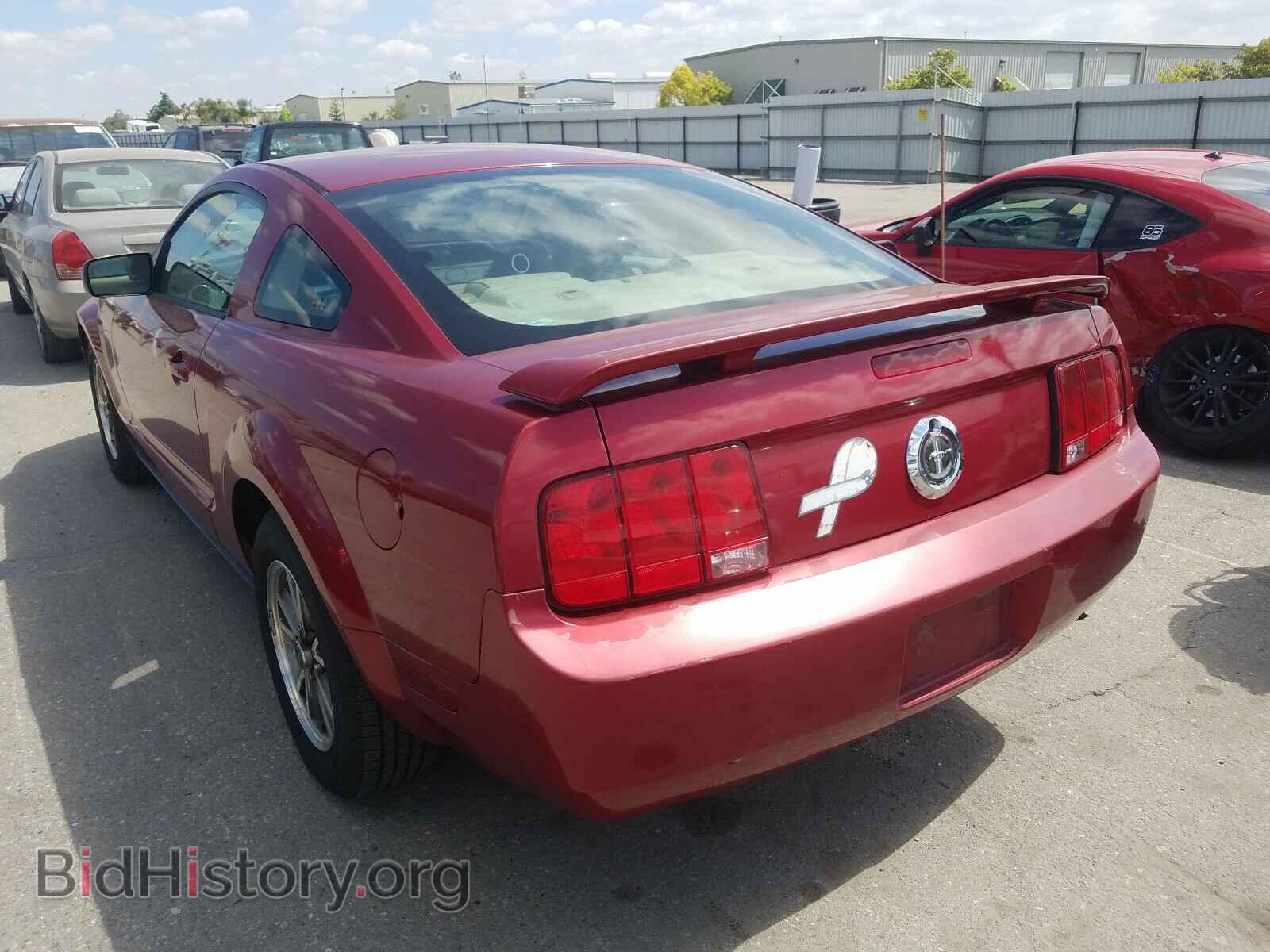 2005 FORD MUSTANG - VIN: 1ZVFT80N355219022 - Фото 3