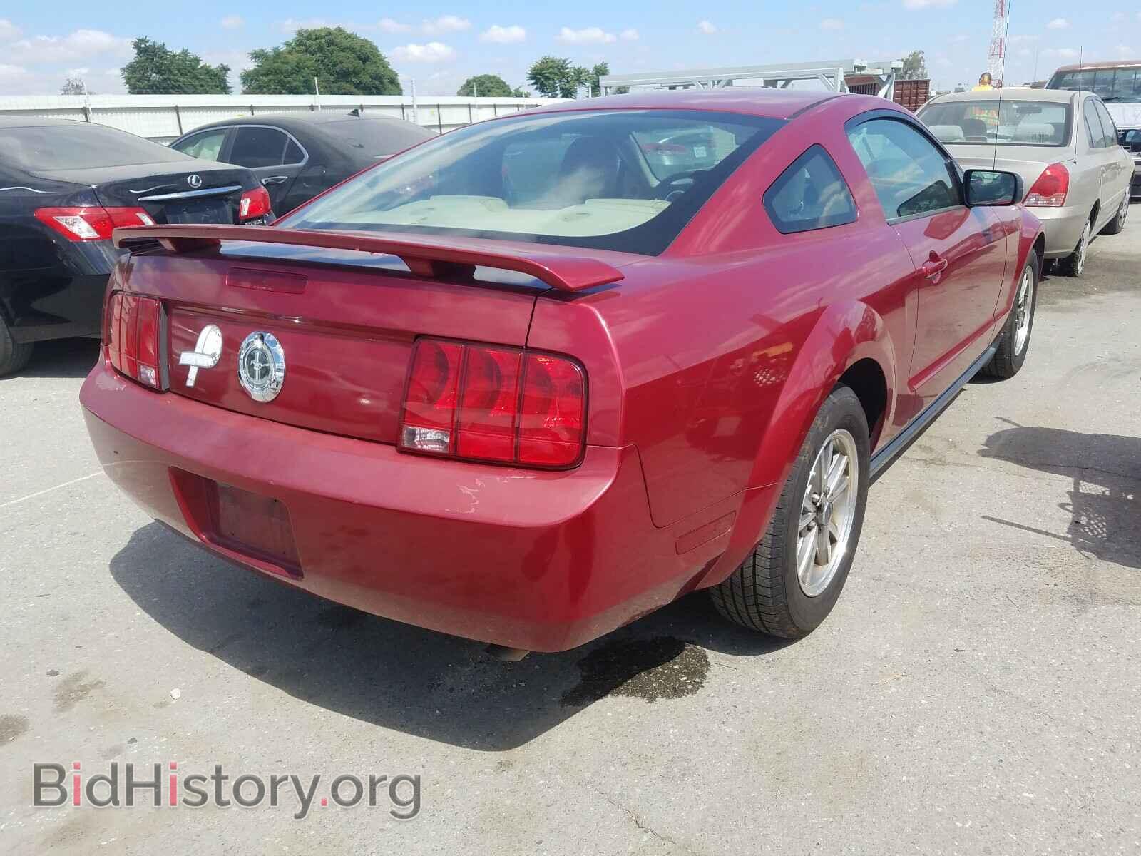 2005 FORD MUSTANG - VIN: 1ZVFT80N355219022 - Фото 4
