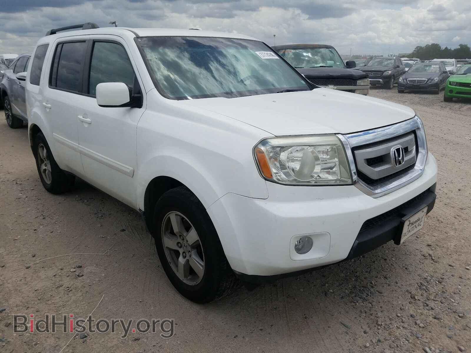 Фотография 5FNYF48459B041190 - HONDA PILOT 2009