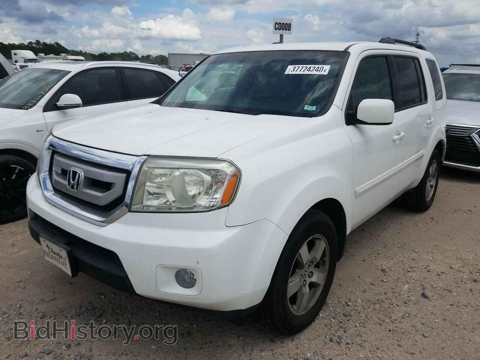 2009 HONDA PILOT - VIN: 5FNYF48459B041190 - Фото 2