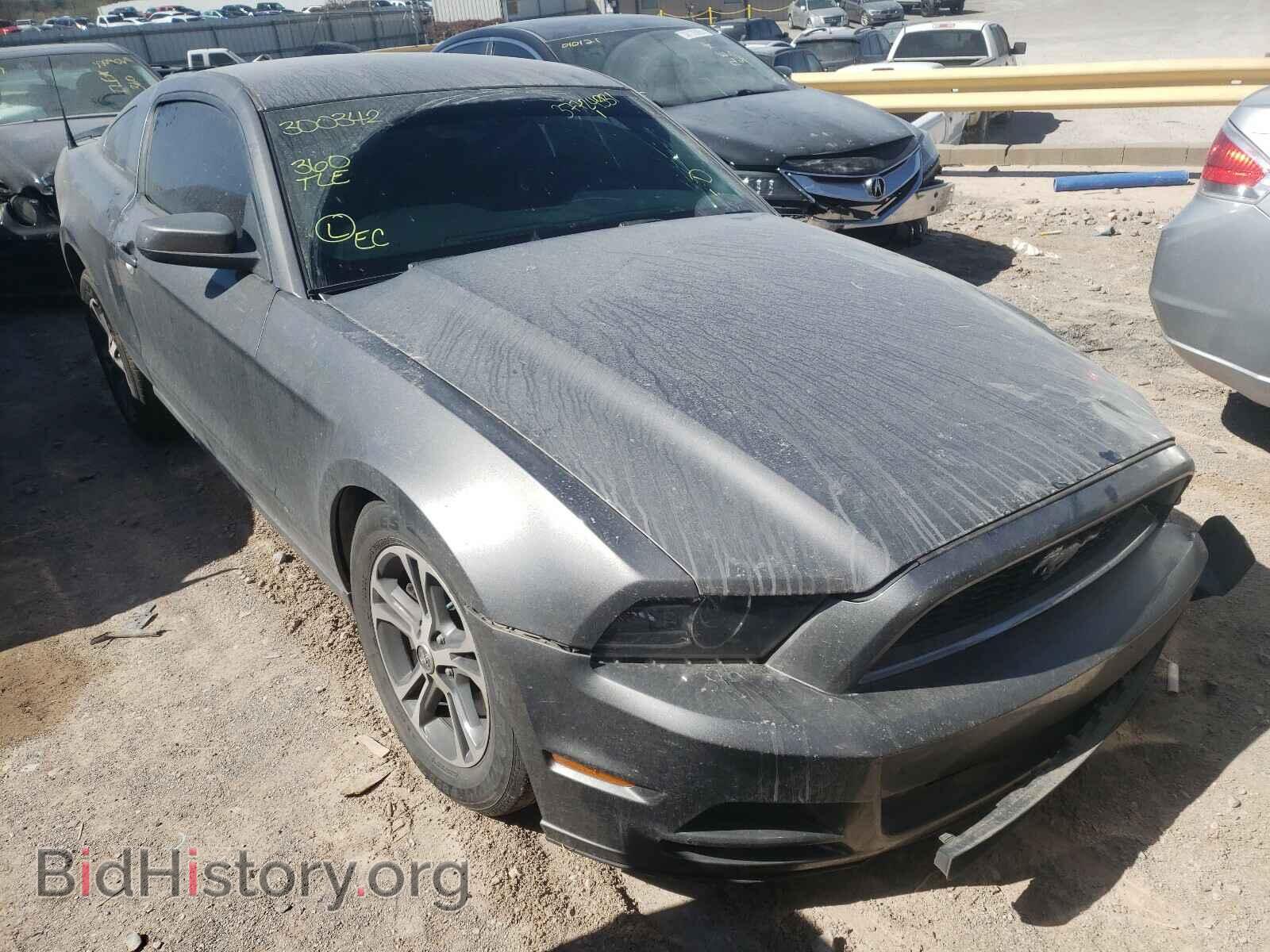 Photo 1ZVBP8AM9E5300342 - FORD MUSTANG 2014