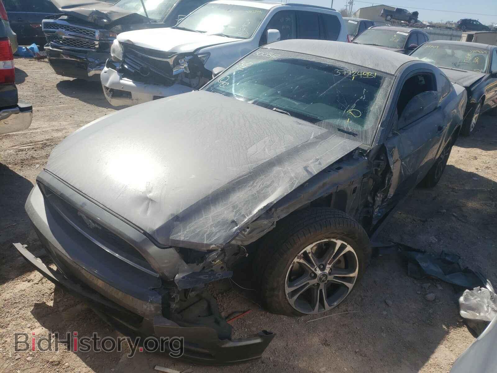 2014 FORD MUSTANG - VIN: 1ZVBP8AM9E5300342 - Фото 2