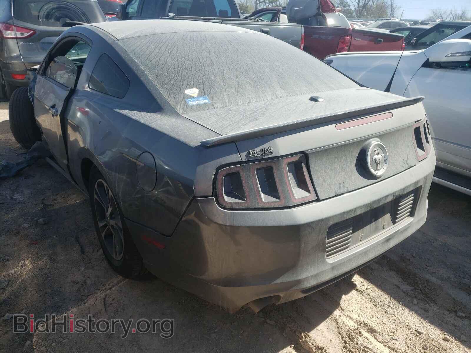 2014 FORD MUSTANG - VIN: 1ZVBP8AM9E5300342 - Фото 3