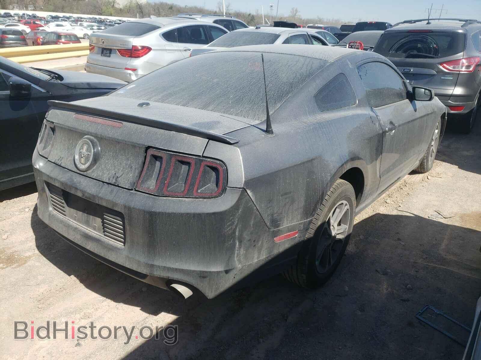 2014 FORD MUSTANG - VIN: 1ZVBP8AM9E5300342 - Фото 4