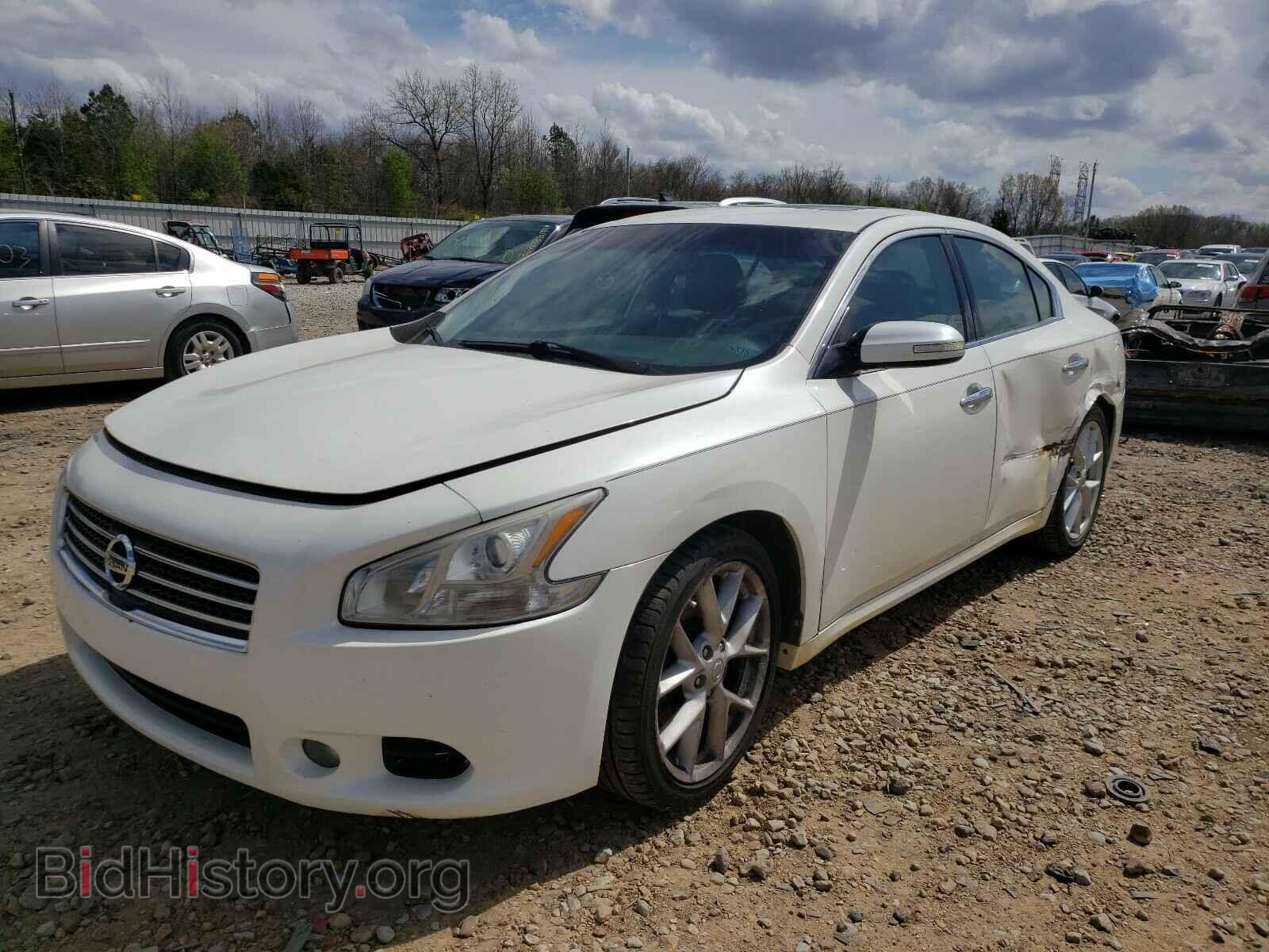 2009 NISSAN MAXIMA - VIN: 1N4AA51E49C810029 - Фото 2