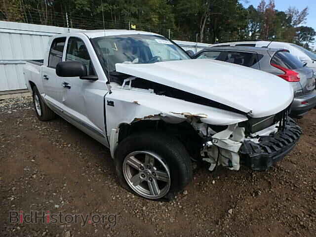 Photo 1D7RW5GP1BS537916 - DODGE DAKOTA 2011