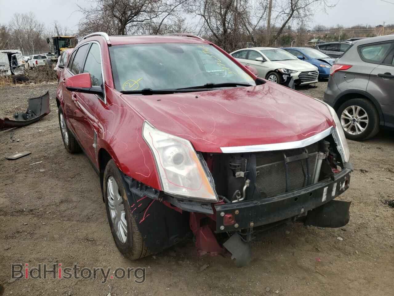 Photo 3GYFNAEY7BS537583 - CADILLAC SRX 2011
