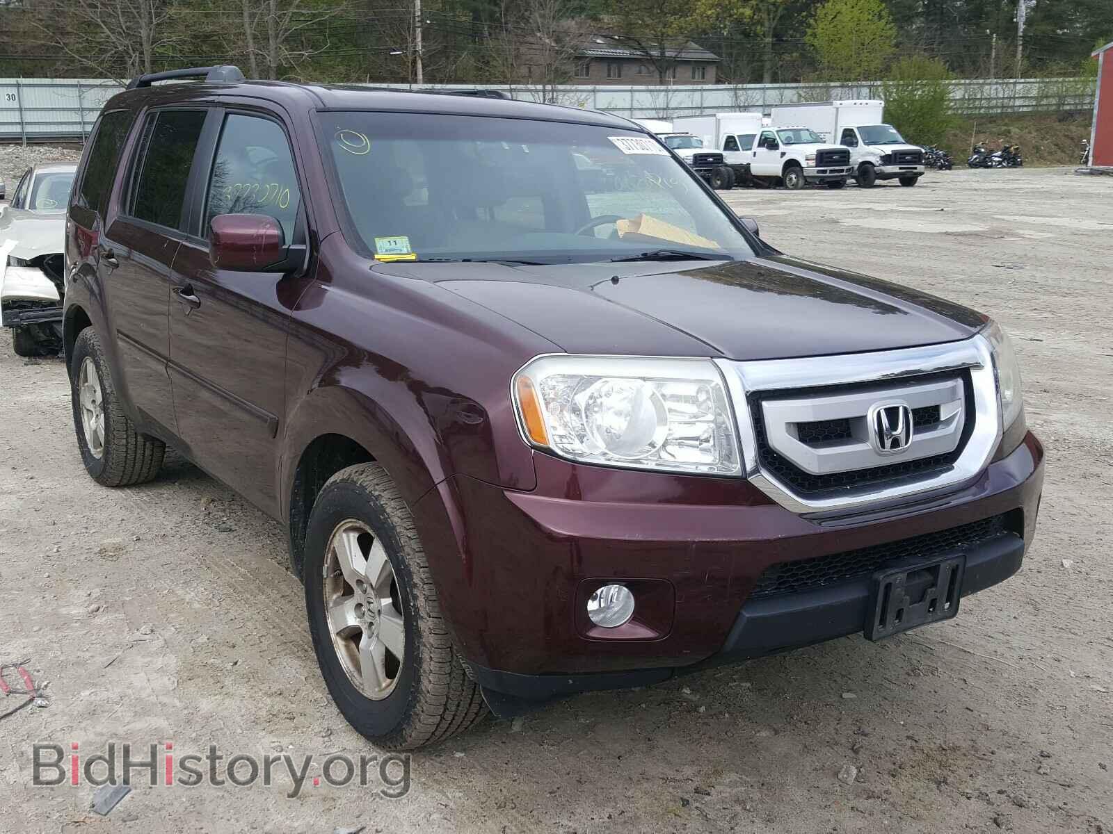 Фотография 5FNYF4H57BB073914 - HONDA PILOT 2011