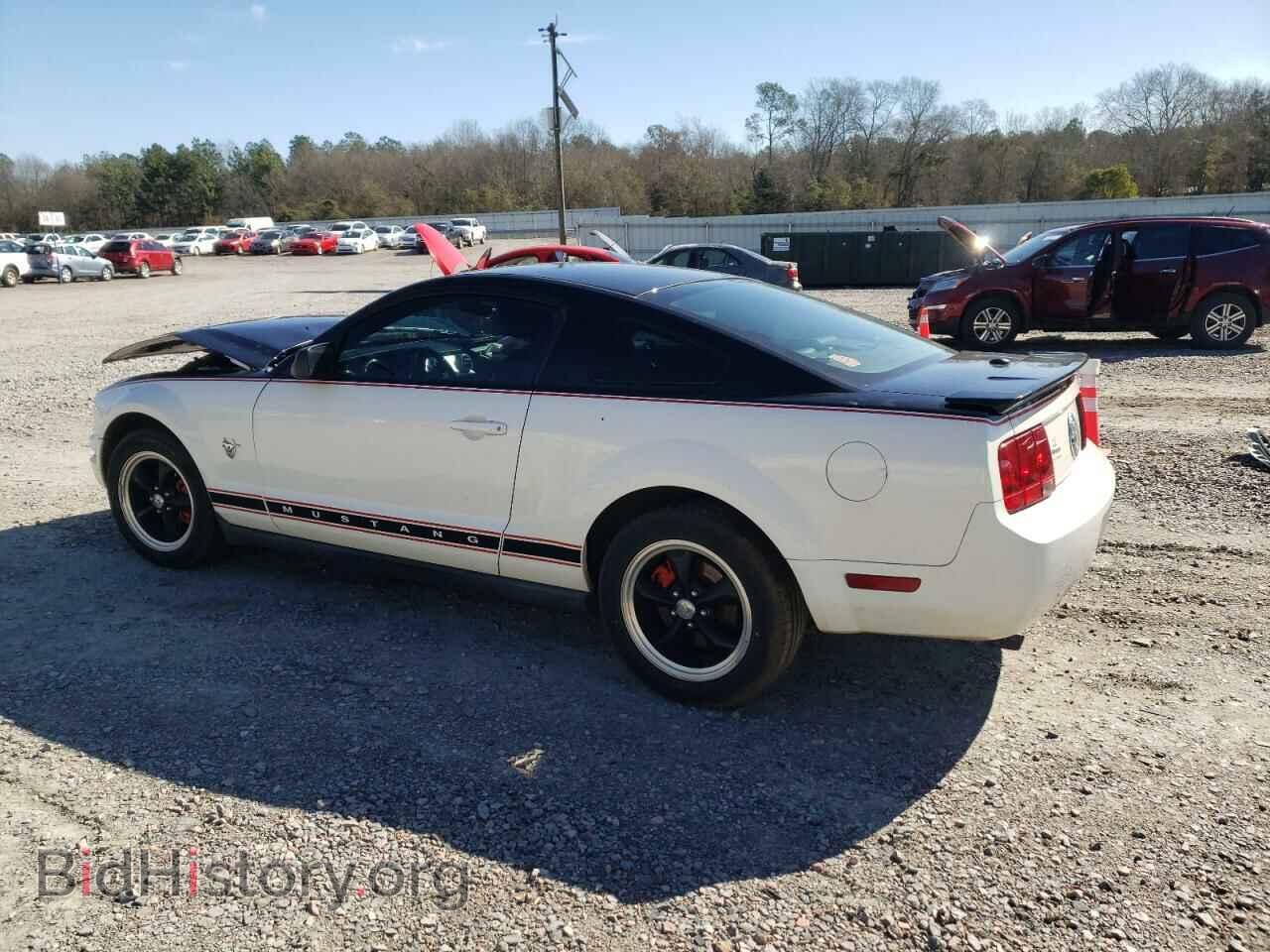 2009 FORD MUSTANG - VIN: 1ZVHT80NX95128084 - Фото 2