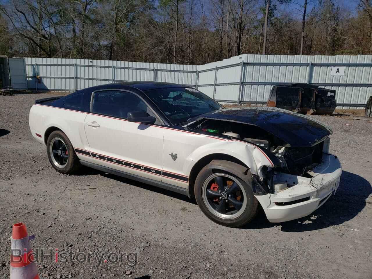 2009 FORD MUSTANG - VIN: 1ZVHT80NX95128084 - Фото 4