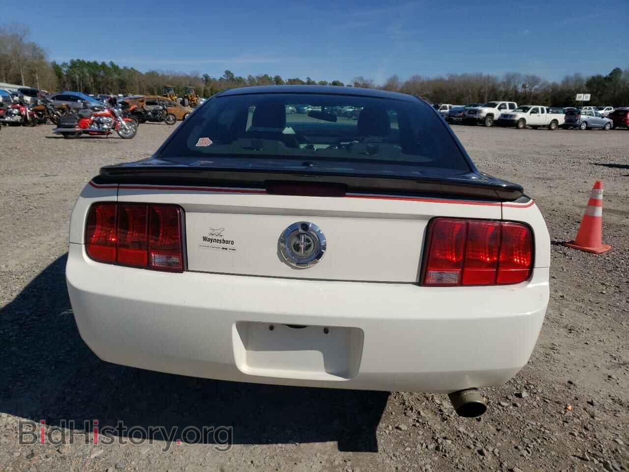 2009 FORD MUSTANG - VIN: 1ZVHT80NX95128084 - Фото 6