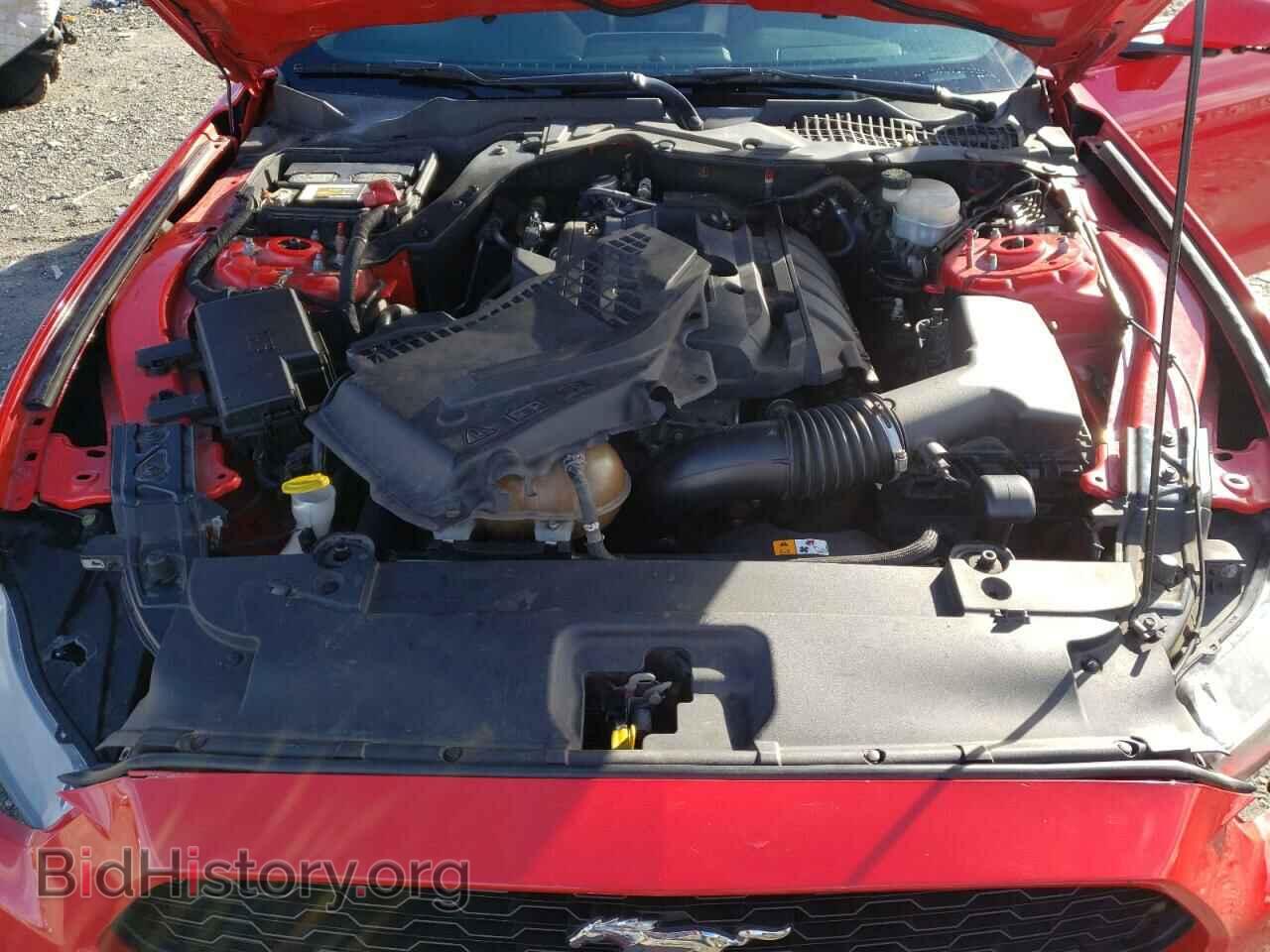 2017 FORD ALL Models - VIN: 1FA6P8TH3H5227421 - Photo 11