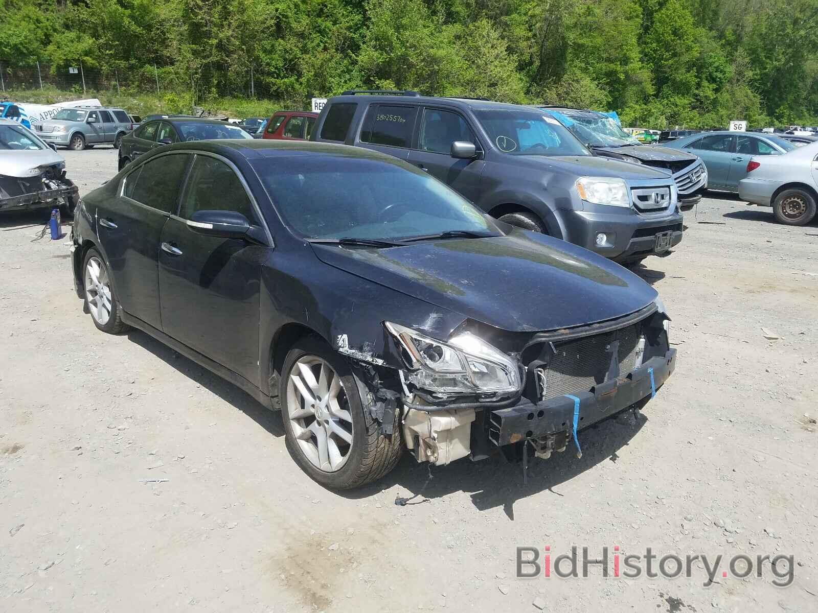 Photo 1N4AA5AP6AC835892 - NISSAN MAXIMA 2010