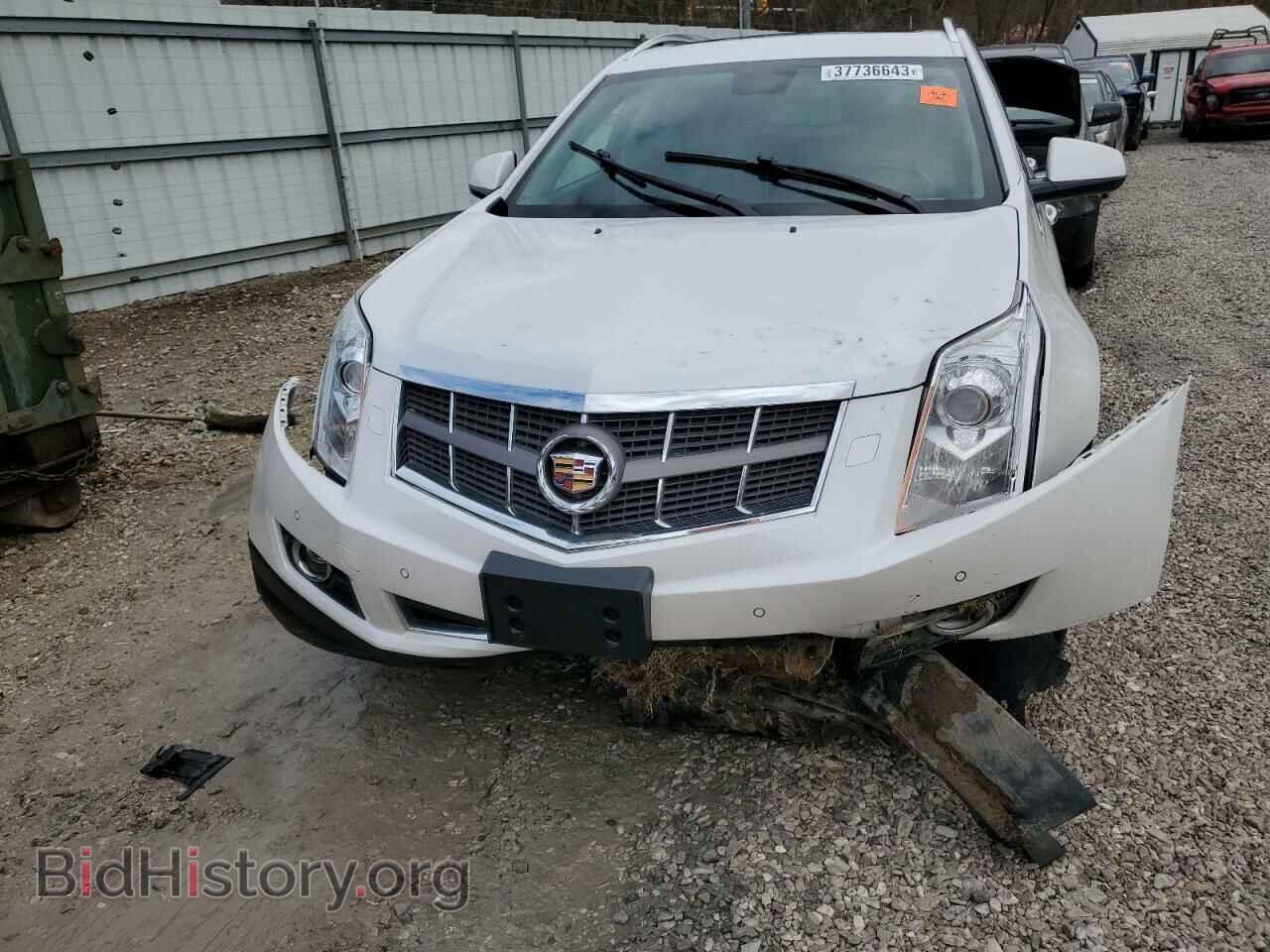 2011 CADILLAC SRX - VIN: 3GYFNFEY7BS601716 - Фото 5