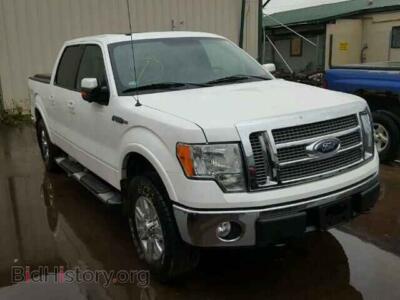 2010 Ford F150, белый — VIN 1FTFW1EV9AKA90385, Copart